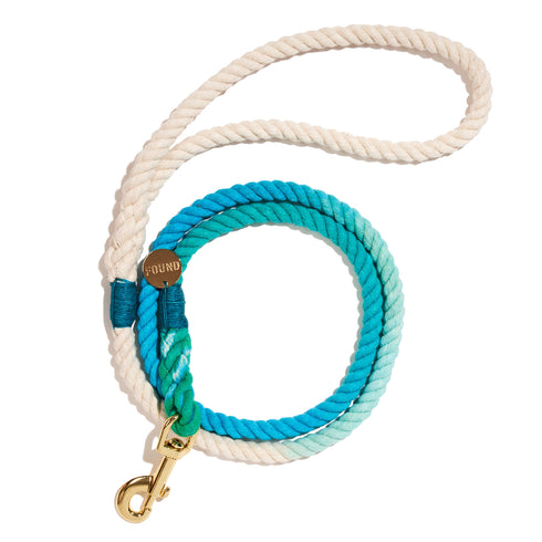 Standard Bolt Snap Rope Dog Leash Robins Egg Blue Ombre