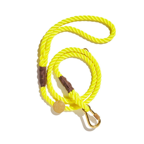 Standard Cotton Rope Dog Leash Neon Yellow