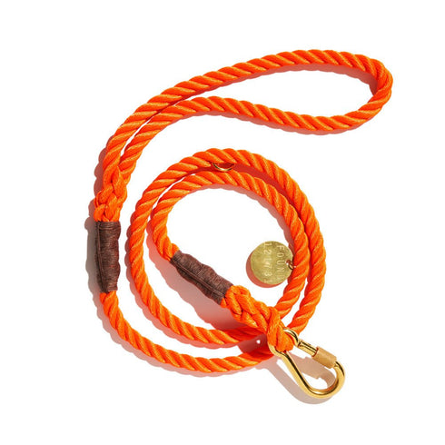 Standard Cotton Rope Dog Leash Orange