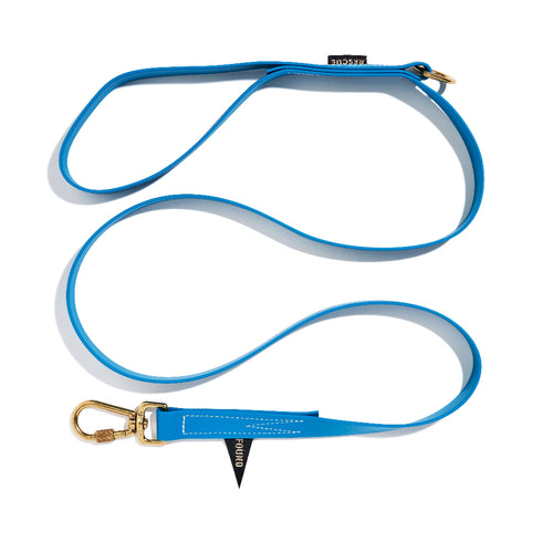 Standard Water Resistant Dog Leash Aqua