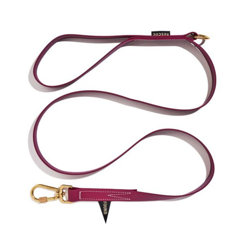 Standard Water Resistant Dog Leash Berry