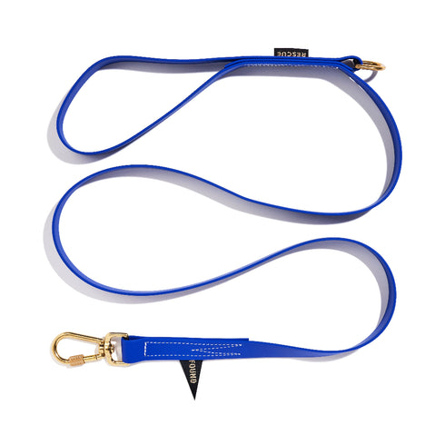 Standard Water Resistant Dog Leash Blue