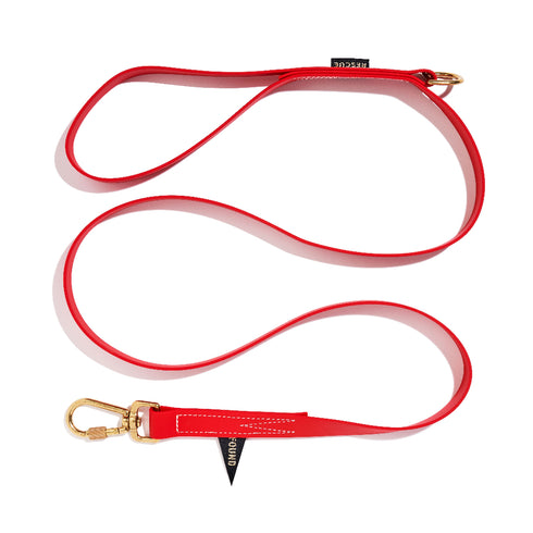Standard Water Resistant Dog Leash Red