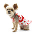 Strawberry Dog Dress