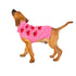 Strawberry Dog Sweater