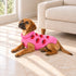 Strawberry Dog Sweater