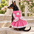 Strawberry Patch Dog Harness Dress Set