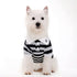 Striped Polo Dog Shirt
