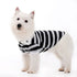 Striped Polo Dog Shirt