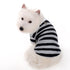 Striped Polo Dog Shirt