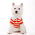 Striped Polo Dog Shirt