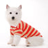 Striped Polo Dog Shirt