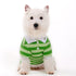Striped Polo Dog Shirt