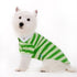 Striped Polo Dog Shirt