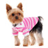 Striped Polo Dog Shirt