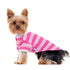 Striped Polo Dog Shirt