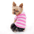 Striped Polo Dog Shirt
