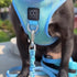 Summer AIR Dog Harness Ocean