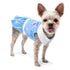 Summer Beach Dog Dress