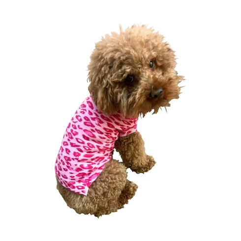Summer Leopard Dog Sweater Fuchsia