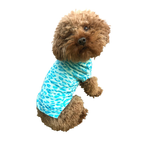 Summer Leopard Dog Sweater Turquoise
