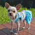 Sweet Heart Dog Dress