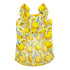 Sweet Lemonade Dog Dress