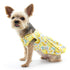 Sweet Lemonade Dog Dress
