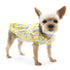 Sweet Lemonade Dog Dress