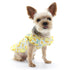 Sweet Lemonade Dog Dress