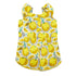 Sweet Lemonade Dog Dress