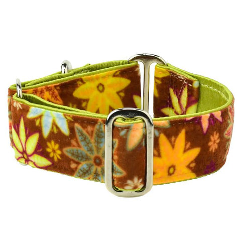 Swiss Velvet Dog Collar Autumn Floral