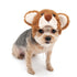 Teddy Bear Dog Hat