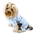 Teddy Bear Love Flannel Dog Pajamas Light Blue