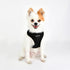 Terry Dog Harness A