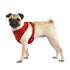 Terry Dog Harness A