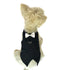 The Dogfather Pinstriped Dog Tuxedo