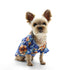 Tropical Floral Dog Shirt
