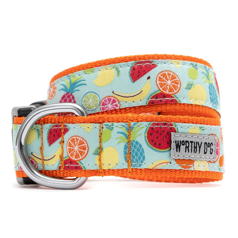 Tutti Frutti Dog Collar