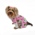 Ultra Soft Minky Bumblebees and Flowers Dog Pajamas