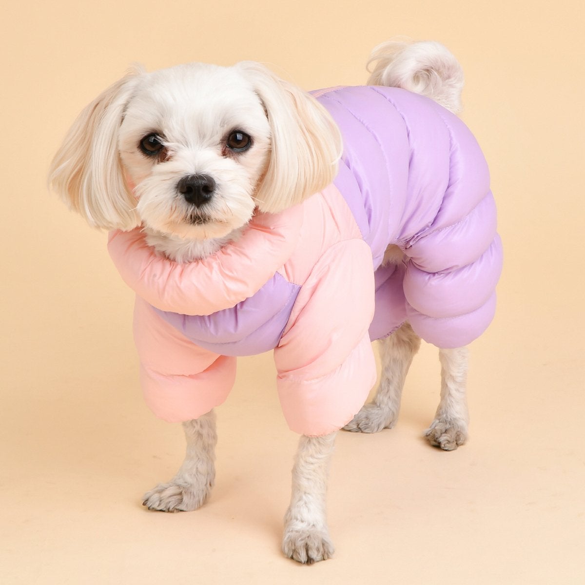 Ultralight Pastel Dog Jumpsuit Bitch New York