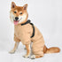 Ultralight Soft Onesie Dog Jumpsuit