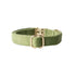Velvet Dog Collar 'Green'