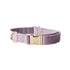 Velvet Dog Collar 'Lilac'