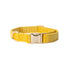 Velvet Dog Collar 'Yellow'
