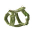 Velvet Dog Harness 'Green'