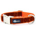 Velvet Essential 1" Dog Collar Rust Large Martingale