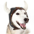 Viking Helmet Dog Hat