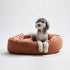 Warby Donut Dog Bed Terracotta