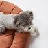 Warby Donut Dog Bed Terracotta